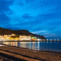 LLANDUDNO - TURKEY & TINSEL