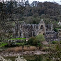 ENCHANTING FOREST OF DEAN TURKEY & TINSEL 