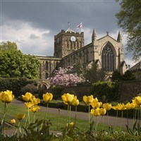 AUTUMN TALES OF THE NORTH: ABBEYS, FORTS & HALLS 