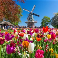 HOLLAND IN THE SPRINGTIME