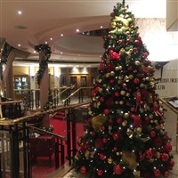 Christmas Tree in the Mickleover Hotel