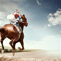 COME RACING IN NEWMARKET