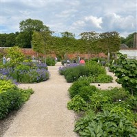 SPRING AWAKENS AT RHS GARDEN BRIDGEWATER