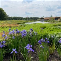 RHS BRIDGEWATER & SALFORD QUAYS