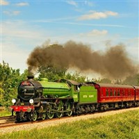 Royal Windsor Steam Express