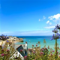 CHRISTMAS IN NEWQUAY