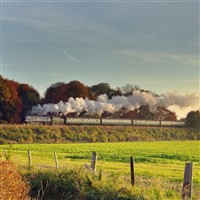 STORYBOOK WINCHESTER - STEAM & GRANDEUR